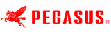PEGASUS L52-01